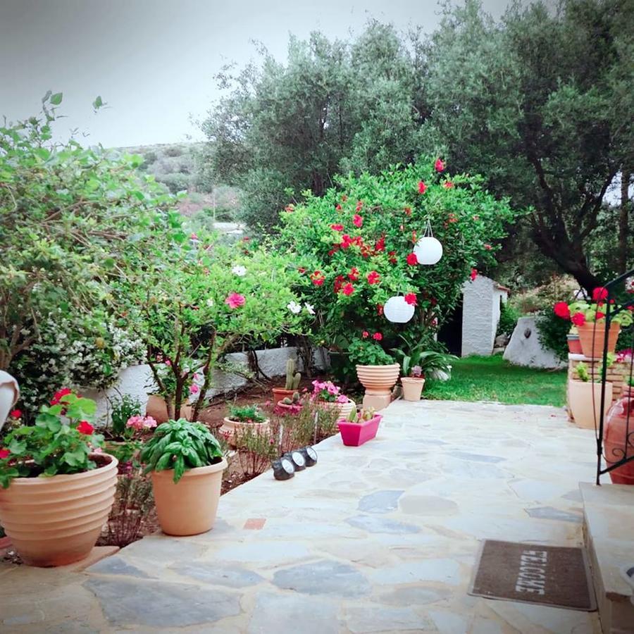 אסוס Pension Gerania מראה חיצוני תמונה