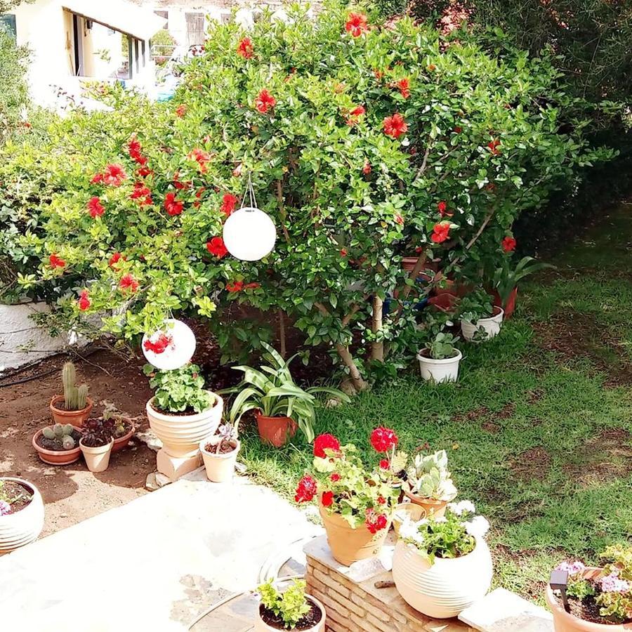 אסוס Pension Gerania מראה חיצוני תמונה